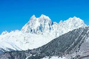 Beautiful sceneric view of Caucasus mountain. The way to mountain with pine forest covered with snow in winter season at Mestia Georgia photo