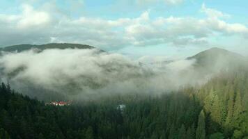 Flight over mountains covered with coniferous forest. Mist rises over the mountain slopes video