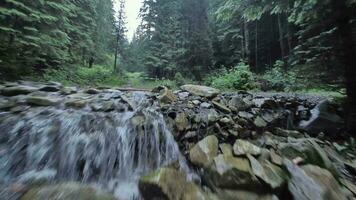 suave voar sobre uma montanha rio fechar para a água, entre uma denso floresta. misterioso montanha panorama. Ucrânia, cárpato montanhas, bukovel. filmado em fpv zangão video