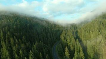 Flight over mountains covered with coniferous forest. Mist rises over the mountain slopes video