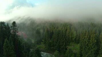 Flight over mountains covered with coniferous forest. Mist rises over the mountain slopes video