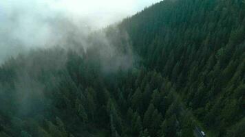 vuelo terminado montañas cubierto con conífero bosque. niebla sube terminado el montaña pendientes video