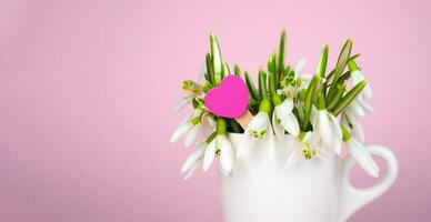 Spring composition with snowdrops and a heart on a pink background. The concept of celebrating Valentine's, Mother's Day and Women's Day. Banner. Close-up. Copy space. Selective focus. photo