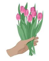 Left hand of young person keeps bouquet of pink tulips. From the personal point of view. Greetings or congratulations. Vector flat isolated concept