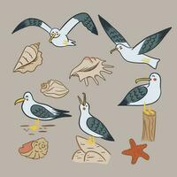 Retro cartoon collection of seagull and seashells. Flat vector outline isolated characters on the sand in kids style. Perfect for decoration, greeting cards, postcards, stickers