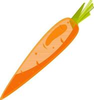 color vector illustration of carrots, proper nutrition, vegetarian food, greens and vegetables