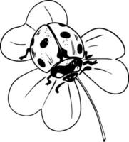 Sketch style ladybug crawling on trefoil leaf black lineart isolated on white background vector