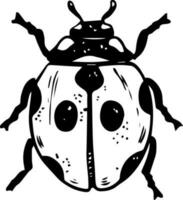 Single sketch style ladybug illustration black lineart isolated on white background vector