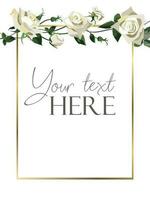 Flat style background template with white roses border on white background with golden frame vector