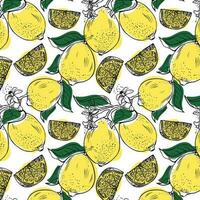 Vector seamless pattern with lineart style lemons in yellow and green colors on white background