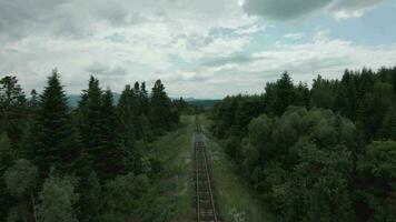 fpv zumbido moscas rápidamente a lo largo el ferrocarril pistas rodeado por pino bosque video