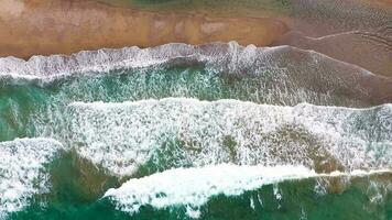 aereo Visualizza di il mare, sabbioso spiaggia, sole ombrelli e lettini, irriconoscibile le persone. bellissimo vacanza e turismo video