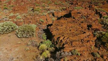 Antenne Aussicht von erstarrt Lava und spärlich Vegetation im das teide National Park. Teneriffa, Kanarienvogel Inseln video