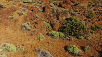 Aerial view of solidified lava and sparse vegetation in the Teide National Park. Tenerife, Canary Islands video