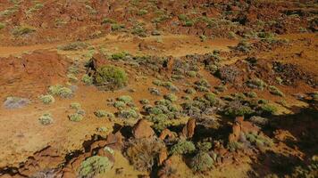 Aerial view of solidified lava and sparse vegetation in the Teide National Park. Tenerife, Canary Islands video