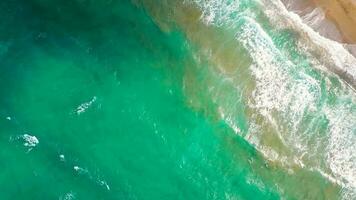 aéreo Visão do a Mediterrâneo costa, ondas alcance a deserta arenoso de praia video