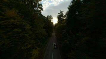 aéreo Visão do a outono floresta perto a estrada ao longo que a carros estão dirigindo. suave voar fechar para galhos com amarelo folhagem às pôr do sol video