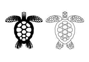 Black sea turtle drawings, starfish and shells on a tortoise shell. vector