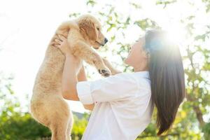 Happy asian woman playing with dog on the park in sunset light, summer vacation. photo