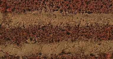 slice of chocolate cake texture ,side view photo