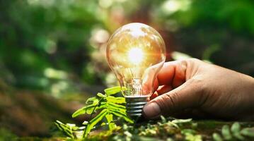 hand holding light bulb on soil with sunshine. concept saving power energy in nature photo