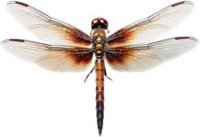 libellula png con ai generato.