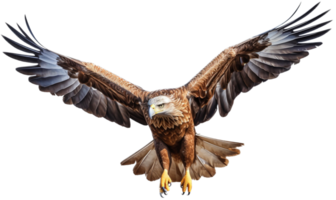 Eagle with . png