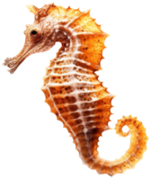 Seahorse png with AI generated.