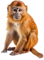 singe png avec ai généré