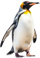 pinguino png con ai generato.