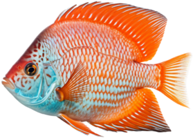 pesce png con ai generato.