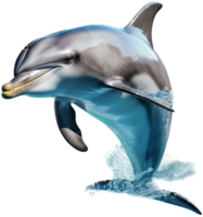 delfin png med ai genererad.