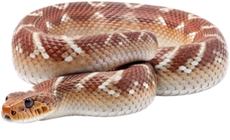 Snake png with AI generated.