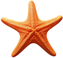 estrella de mar png con ai generado.