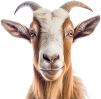 Goat with . png