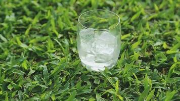 a glass of water with ice on nature background. video