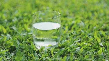 a glass of water with ice on nature background. video