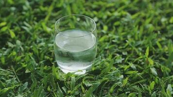 a glass of water with ice on nature background. video