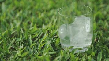 a glass of water with ice on nature background. video