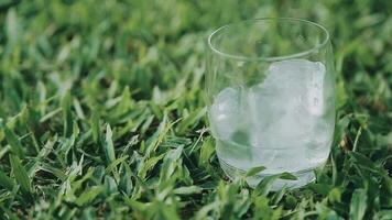 ein Glas von Wasser mit Eis auf Natur Hintergrund. video