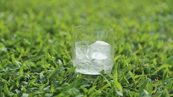 un vaso de agua con hielo en naturaleza antecedentes. video