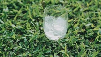 a glass of water with ice on nature background. video