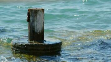 Wooden Pole in Sea Water video