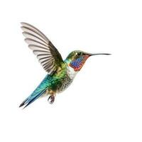 Blue vivid Broad Billed Hummingbird isolated. Illustration AI Generative photo