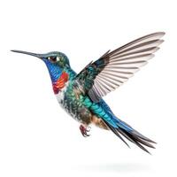 Blue vivid Broad Billed Hummingbird isolated. Illustration AI Generative photo