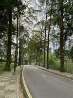 Perdana Botanical Garden botanical garden in Malaysia photo