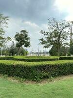 Natural garden , tangga putrajaya steps in Malaysia photo