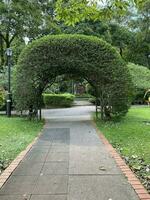 Perdana Botanical Garden botanical garden in Malaysia photo