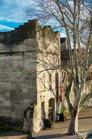 Detail of the historical wall built on the fourteenth century around the Avignon city in a beautiful sunny day photo