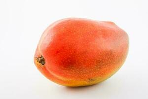 Mango isolated on white background. Mangifera indica photo